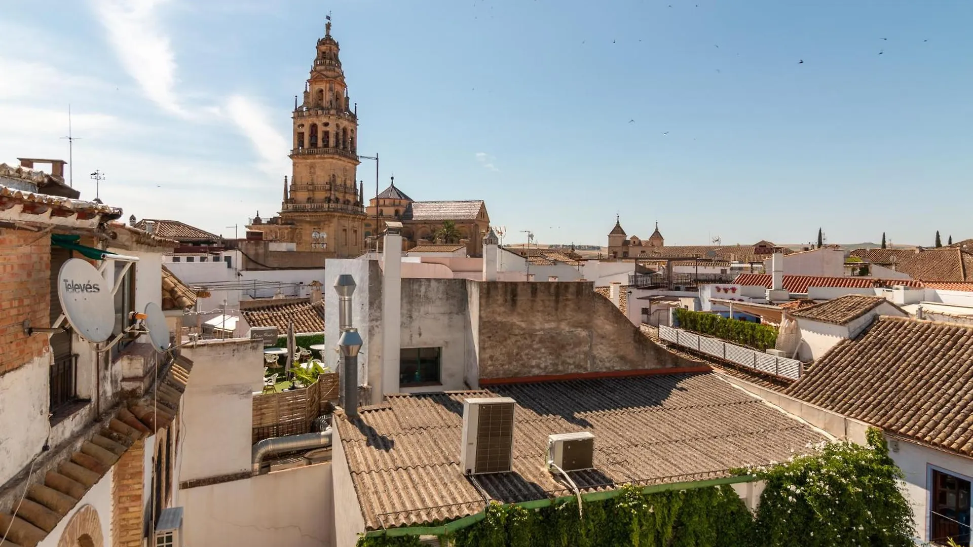 Luxury El Patio De La Juderia Apartment Cordoba